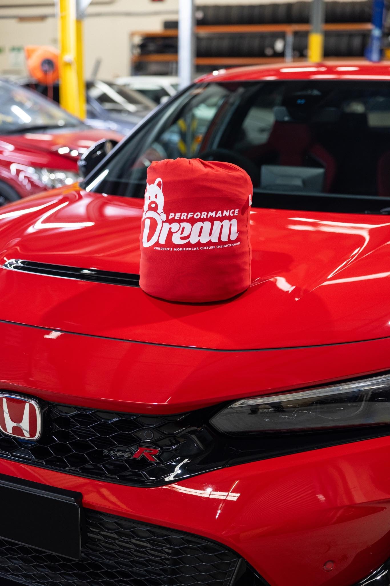 Honda Civic FL5 Type R Indoor Car Cover – Custom Fit Velvet Stretch Dust Cover
