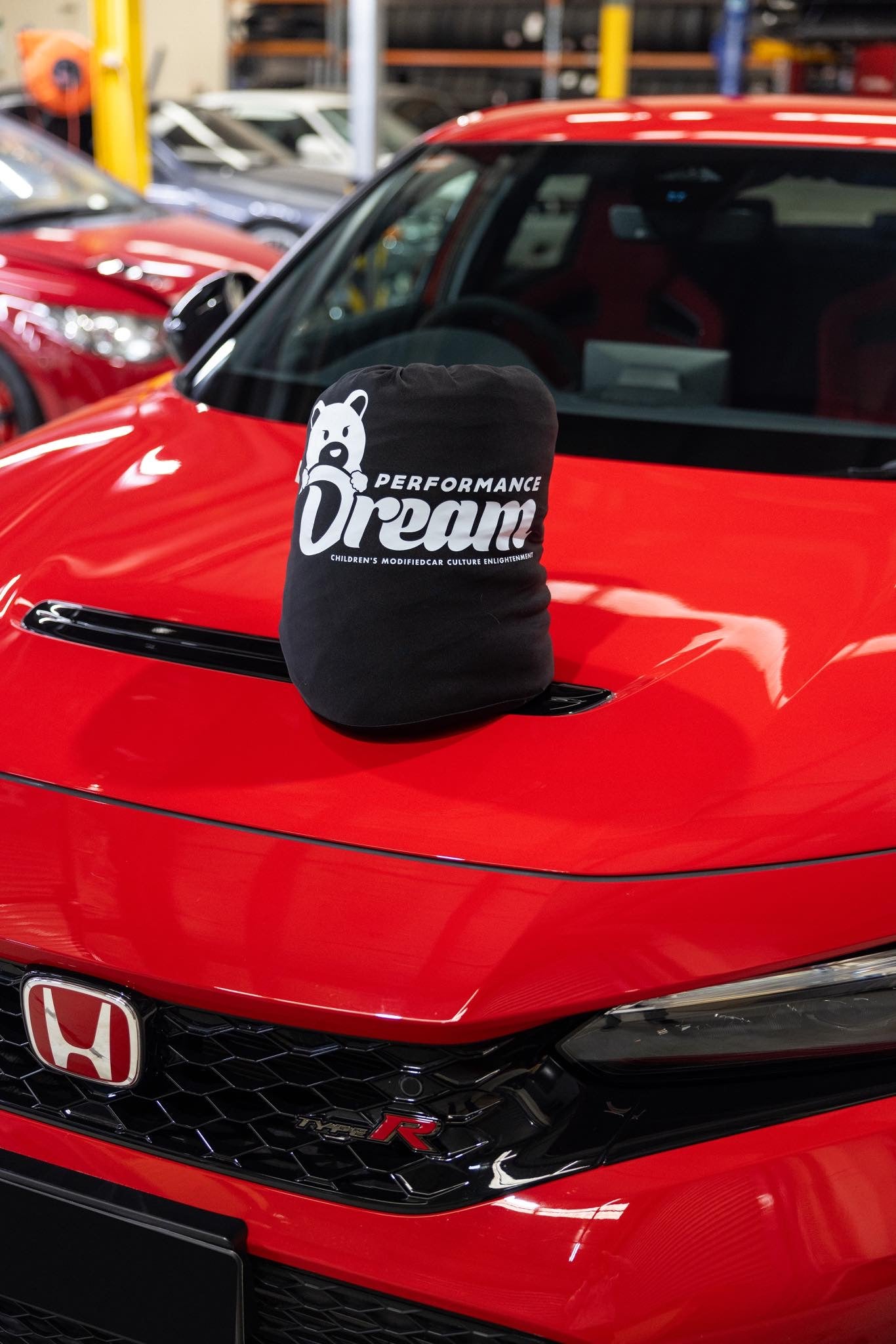 Honda Civic FL5 Type R Indoor Car Cover – Custom Fit Velvet Stretch Dust Cover