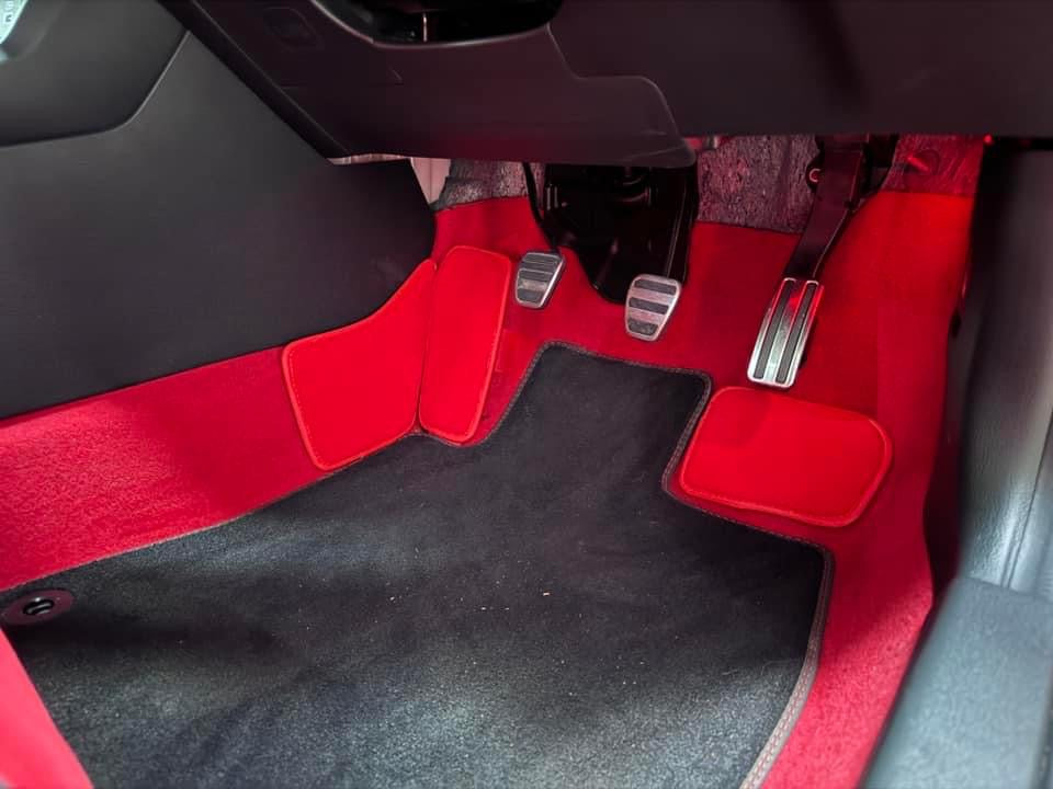 FL5 Type R Driver Floor Mats Side Protecter